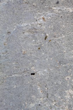 Grayish Old Weathered Cracked Natural Stone Texture