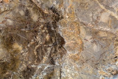 Sarımsı Yaşlı Yıpranmış Doğal Taş Yapısı