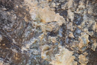 Grayish Old Weathered Cracked Natural Stone Texture