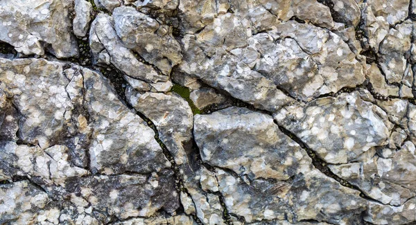 Gris Viejo Envejecido Agrietado Textura Piedra Natural — Foto de Stock