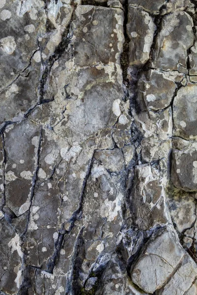 Gris Viejo Envejecido Agrietado Textura Piedra Natural — Foto de Stock