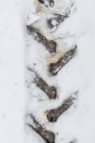 Impresión Neumáticos Nieve — Foto de Stock