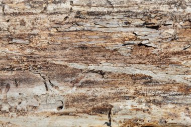 Eskimiş Kahverengi Ahşap Doku