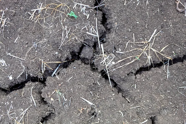 Top View Dry Cracked Soil Texture — Stock Photo, Image