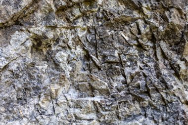 Grayish Old Weathered Natural Stone Texture