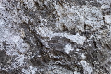 Grayish Old Weathered Natural Stone Texture