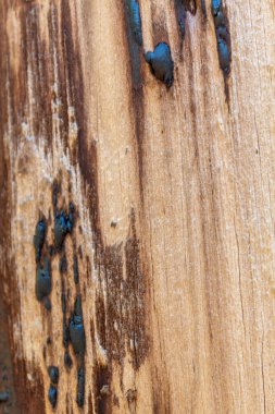 Kahverengimsi Eski Yıpranmış Ahşap Doku