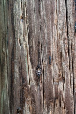 Kahverengimsi Eski Yıpranmış Ahşap Doku