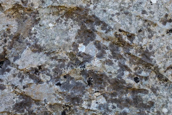 Grayish Old Weathered Natural Stone Texture — Stockfoto