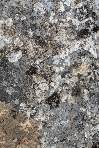 Grayish Old Weathered Textura Pedra Natural — Fotografia de Stock
