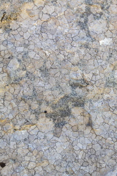 Grayish Old Weathered Natural Stone Texture — 스톡 사진