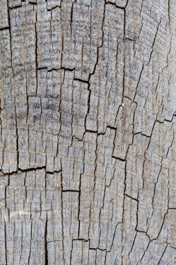 Eskimiş Çatlamış Ahşap Doku