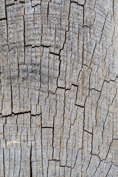 古い風化した木目の質感 — ストック写真