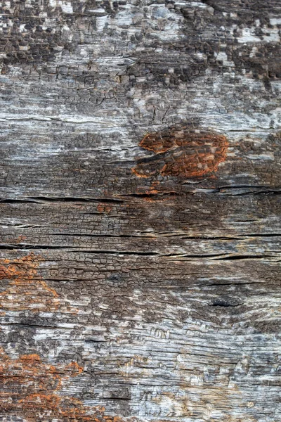 Oude Verweerde Beschadigde Hout Textuur — Stockfoto