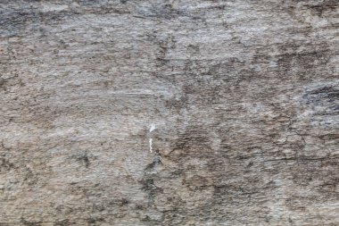 Eski Kullanılmış Çatlak Ahşap Doku Arkaplan için kullanışlı ya da Üstüste Resim Olarak