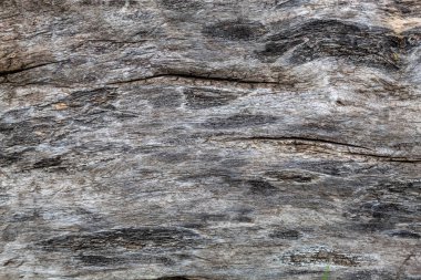 Eski Kullanılmış Çatlak Ahşap Doku Arkaplan için kullanışlı ya da Üstüste Resim Olarak