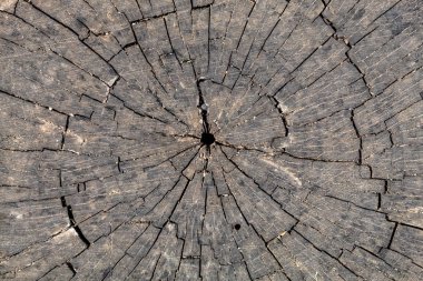 Eskimiş Kabartmalı Kahverengimsi Ahşap Doku