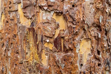 Eskimiş Kabartmalı Kahverengi Ahşap Doku