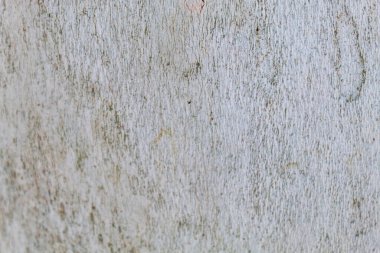 Ağaç kabuğu dokusu arka kapatmak