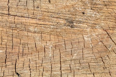 Eskimiş Çatlamış Kahverengi Ahşap Doku