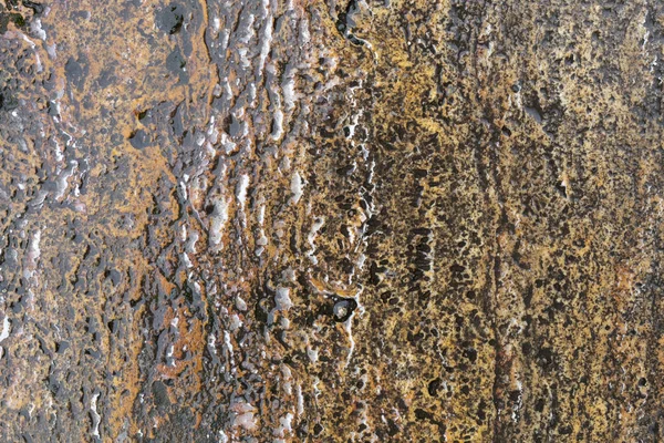 Velho Weathered Wet Natural Stone Textura — Fotografia de Stock