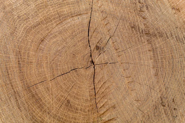 茶色がかった割れた木のテクスチャ — ストック写真