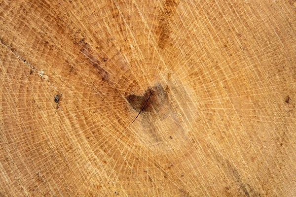 Bräunlich Riss Geschnitten Holz Textur — Stockfoto
