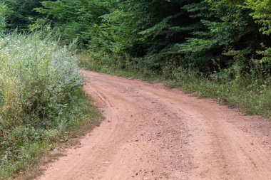 Sırp Ormanında Kırsal Kırsal Kirli Yol