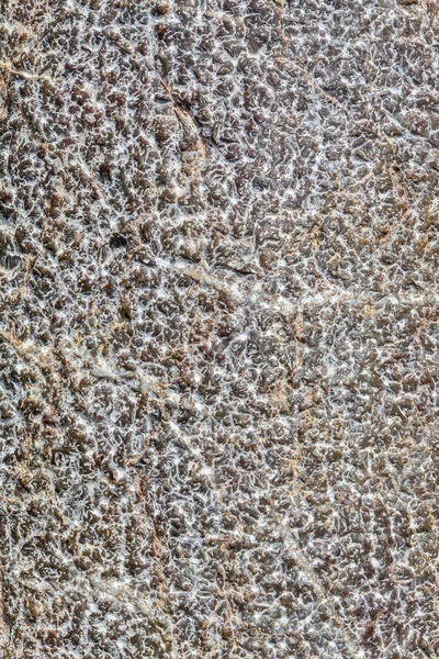 Régi Weathered Natural Stone Textúra — Stock Fotó