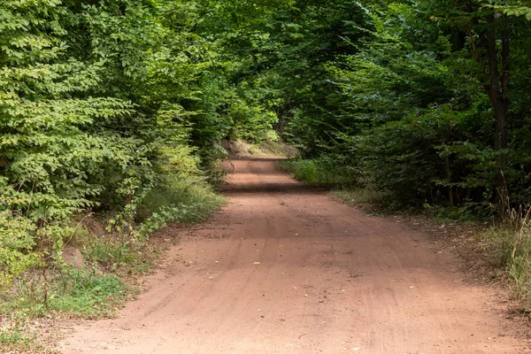 Strada Sterrata Rossastra Rurale Nella Foresta Serba — Foto Stock