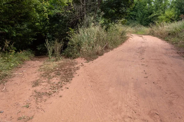 Strada Sterrata Rossastra Rurale Nella Foresta Serba — Foto Stock