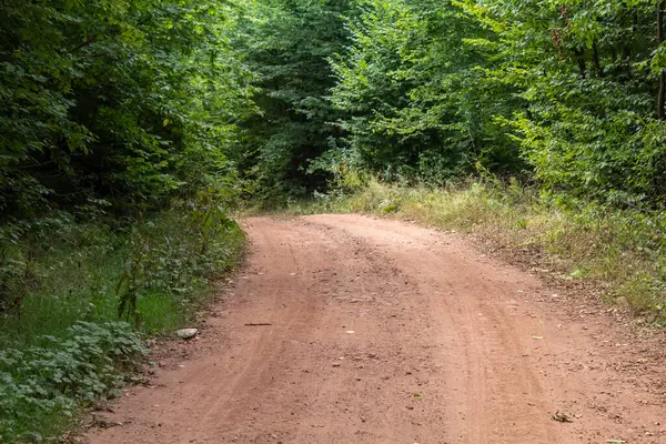 Strada Sterrata Rossastra Rurale Nella Foresta Serba — Foto Stock