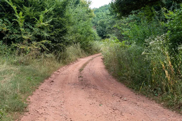 Strada Sterrata Rossastra Rurale Nella Foresta Serba — Foto Stock