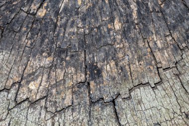 Kırık Gri Ahşap Doku