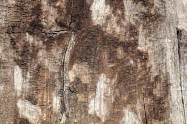 Eskimiş Kahverengi Ahşap Doku