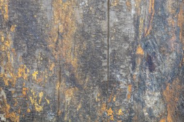 Eskimiş Mavimsi Çatlak Ahşap Doku