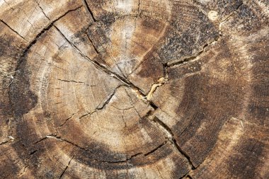 Eskimiş Kahverengimsi Kesilmiş Tahta Çatallı Doku