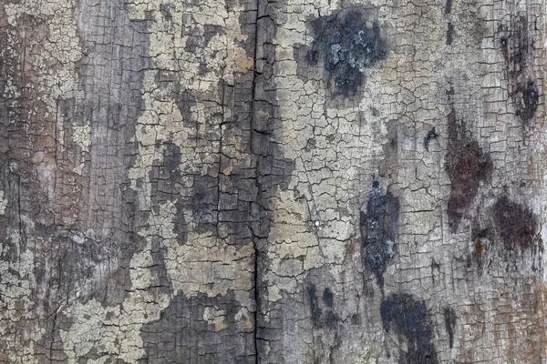 Старомодная Синеватая Текстура Дерева — стоковое фото