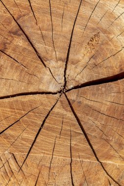 Eskimiş Kahverengimsi Kesilmiş Tahta Çatallı Doku