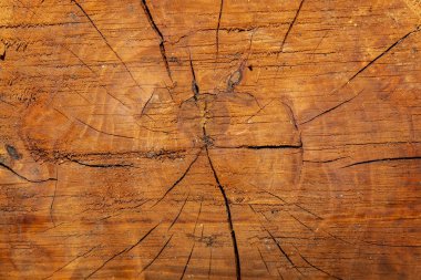 Eskimiş Kahverengimsi Kesilmiş Tahta Çatallı Doku