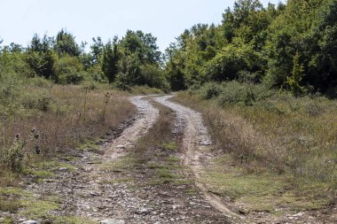 Kırsal Dalgalı Kirli Yol Ormana Gidiyor