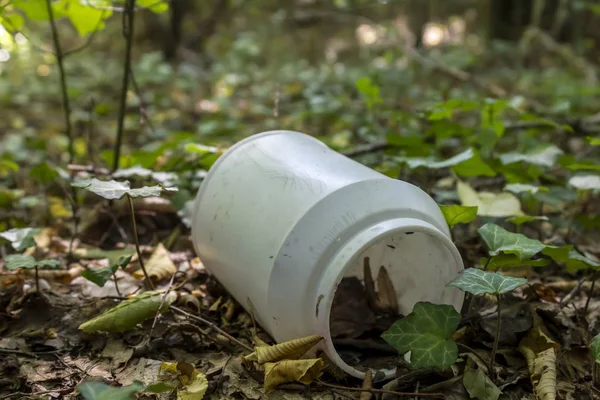 Plastik Kutu Ormana Atıldı, Doğal Çevredeki Sorun, Boşluğu Kopyala