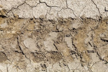 Kabartmalı Tekerlek İzleri Kırsal Toprak Yol 'a
