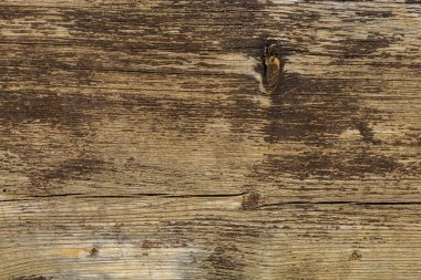 Kahverengimsi Eski Havalı Ahşap Doku