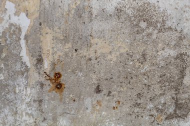 Eski Yıpranmış Beton Duvar dokusu