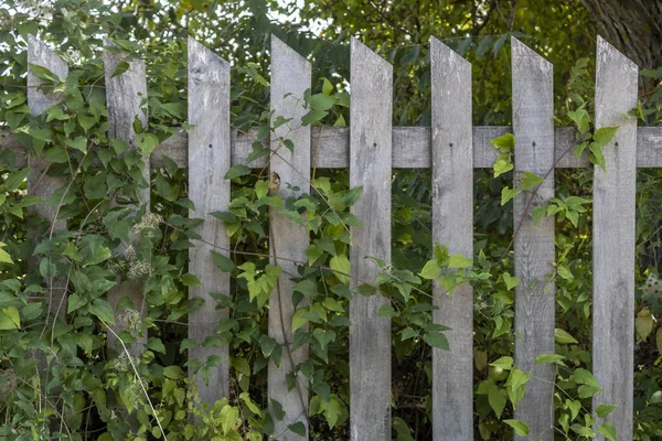 Część Starego Drewnianego Ogrodzenia Pokrytego Liśćmi Wsi — Zdjęcie stockowe