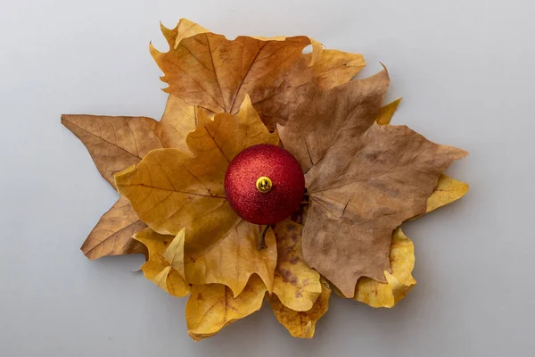Christmas Red Decorative Ball Flower Made Using Dry Yelish Autumn — 스톡 사진
