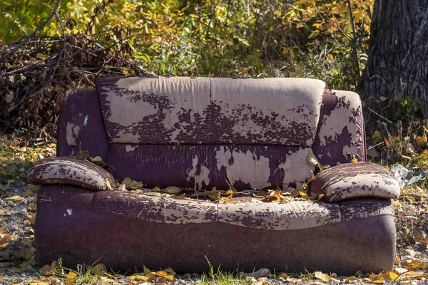 Stare Uszkodzone Kanapa Fotel Wyrzucony Naturze Jesiennych Liści Nim — Zdjęcie stockowe