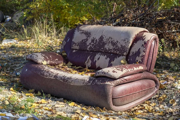 Old Damaged Armchair Sofa Thrown Away Nature Autumn Leaves — Stok Foto