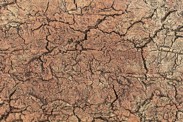 Old Weathered Dry Cracked Reddish Texture — Stock Photo, Image